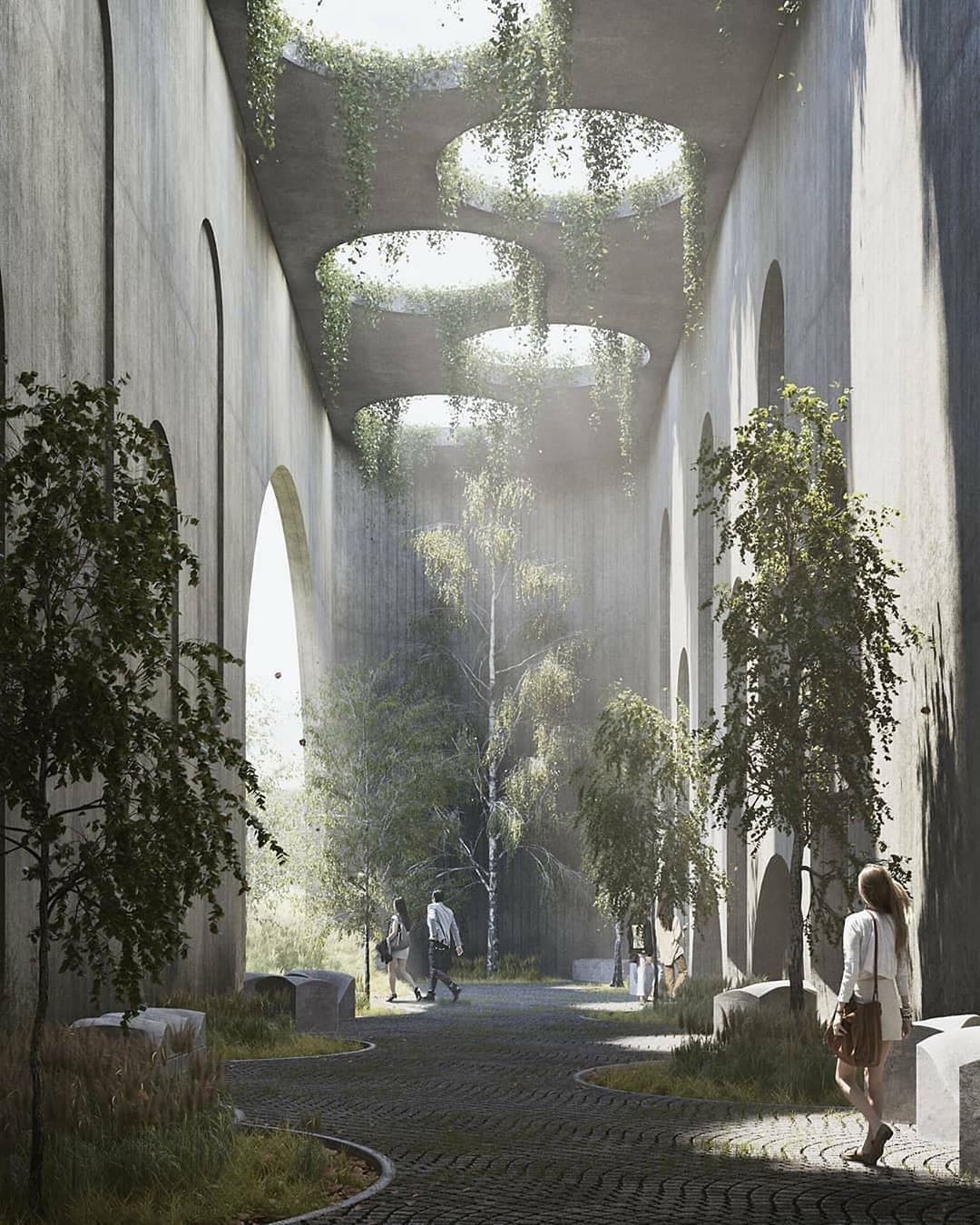 Landscape design showcasing curated planting and outdoor zones